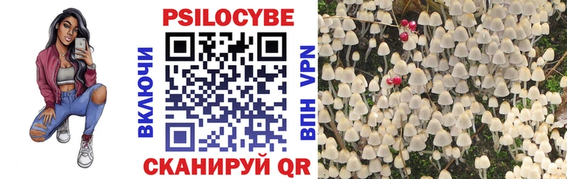 Псилоцибиновые грибы MAGIC MUSHROOMS  Кумертау 